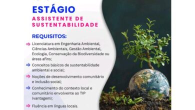 Vaga – estÁgio para assistente de sustentabilidade