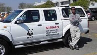 Vaga de emprego para motorista carta profissional inhambane