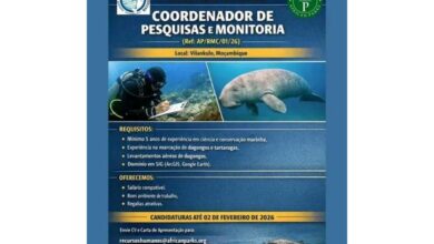 Vaga para coordenador(a) de pesquisas e monitoria