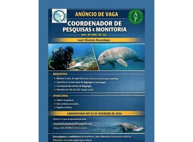 Vaga para coordenador(a) de pesquisas e monitoria