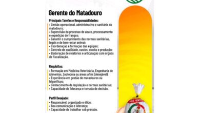 Vaga – gerente do matadouro