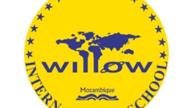 Vagas para professores para diversas Áreas na willow international school