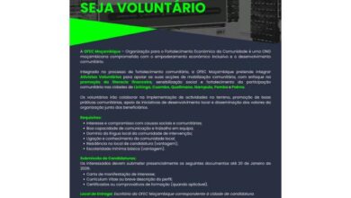 Vagas – activistas voluntários mais vagas