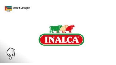 A inalca moçambique está a recrutar novo pessoal