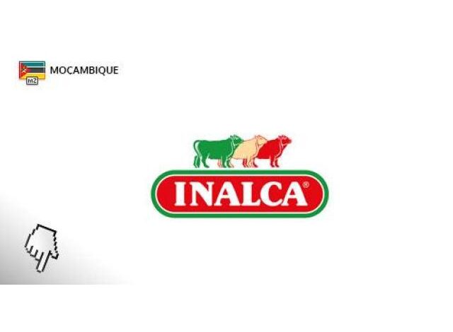 A inalca moçambique está a recrutar novo pessoal