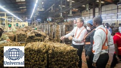 A mozambique leaf tobacco abre 16 vagas para candidatos com