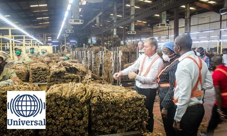 A mozambique leaf tobacco abre 16 vagas para candidatos com