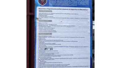 A aegis wolf security lda esta recrutar seguranças