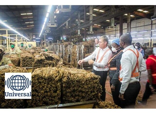 A mozambique leaf tobacco abre (16) vagas para candidatos com