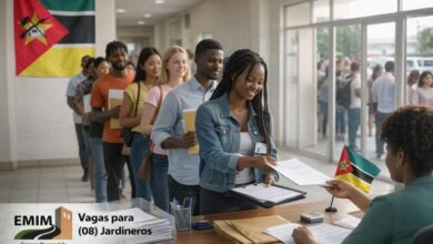 Concurso público: (33) vagas abertas para candidatos com – 7ª,