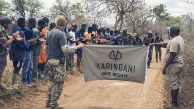 Karingani game reserve (kgr) esta a recrutar (05) operadores em