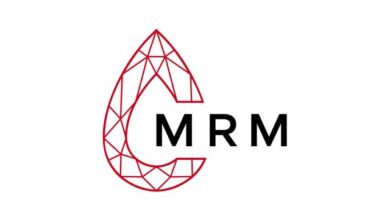 Montepuez ruby mining, lda: vagas para (04) operadores de basculante
