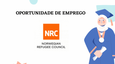 O nrc em moçambique abre (07) vagas para profissionais de