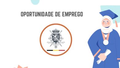 A embaixada da bélgica em moçambique abre (08) vagas para