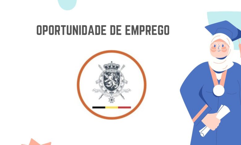 A embaixada da bélgica em moçambique abre (08) vagas para
