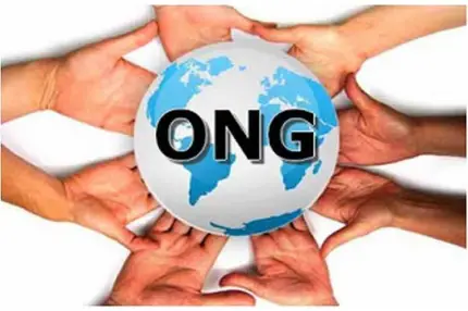 A ong moçambicana abre com urgência, (35) vagas de emprego
