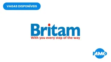 Vaga na britam: chief executive officer