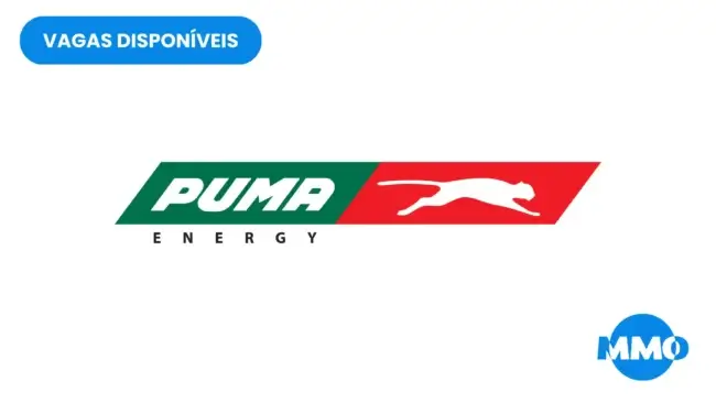 Vaga na puma energy mozambique: data management, processing & analytics