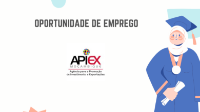 A apiex,ip recruta (98) trabalhadores de diferentes áreas para 61⁠ª